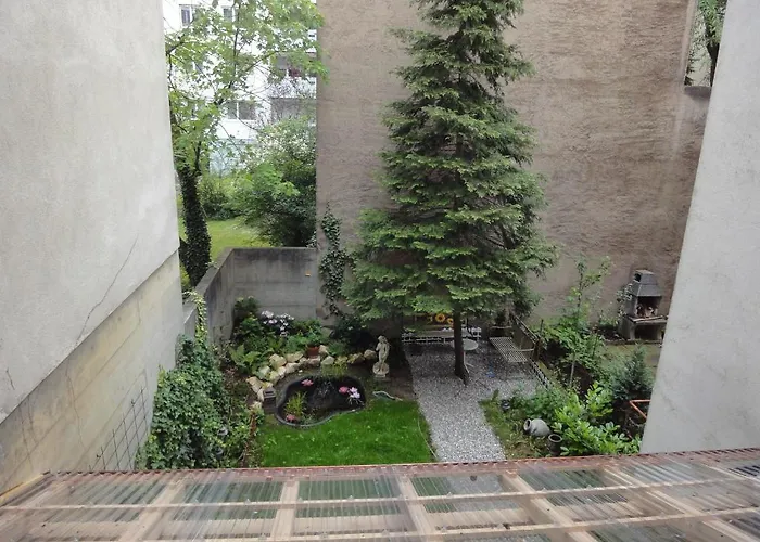 3 Camere